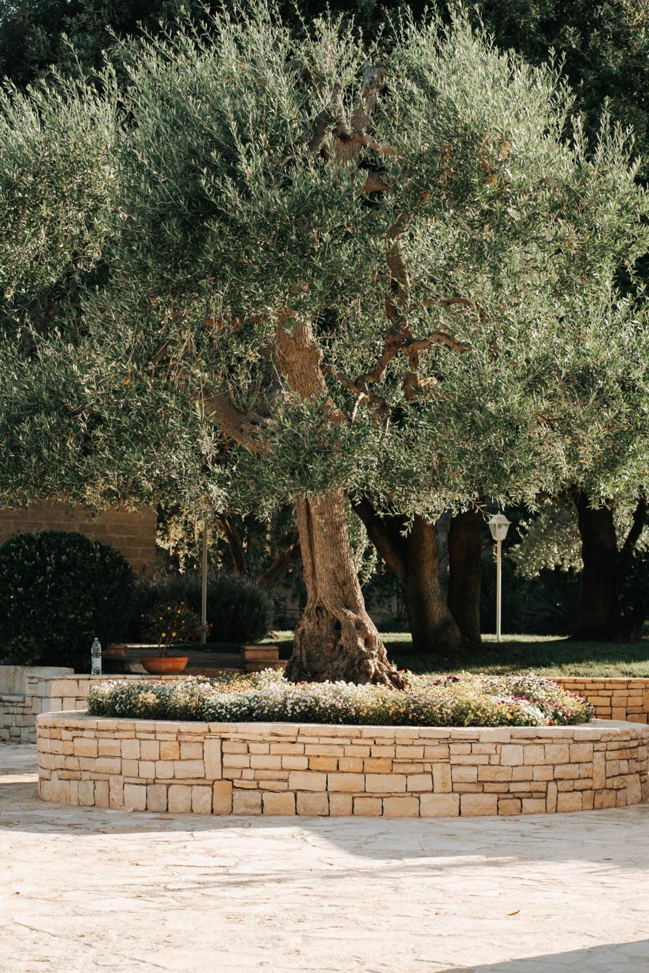 San Marco Antico Relais - B&B Bitonto Eksteriør bilde
